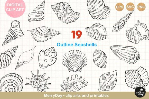 Download 19 Seashell Line Art Drawings. - Drawings Collection
